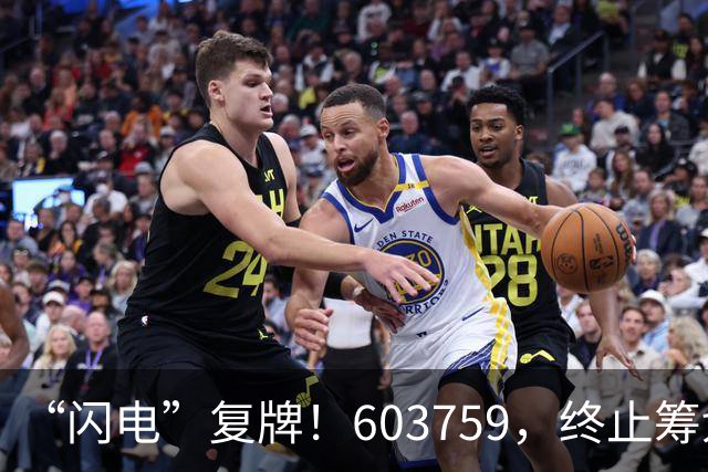“闪电”复牌！603759，终止筹划重大事项