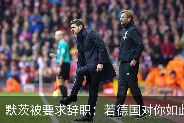 默茨被要求辞职：若德国对你如此宝贵，去找德总统解除你的职务